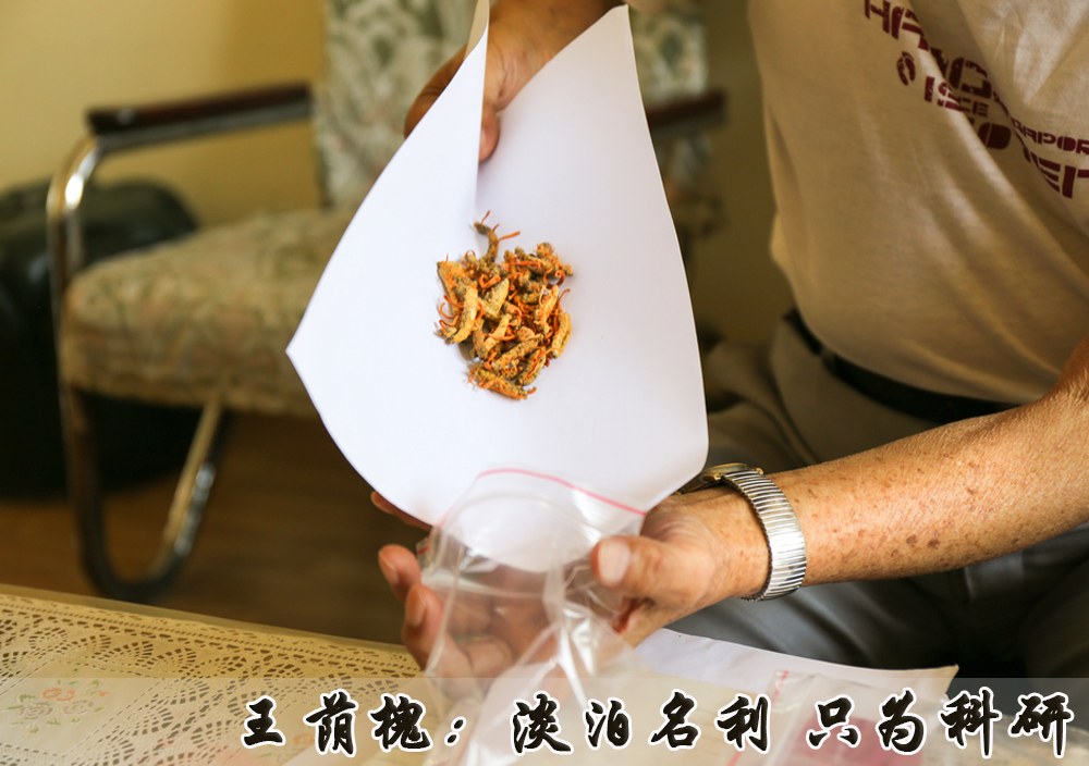 王荫槐：淡泊名利 只为科研