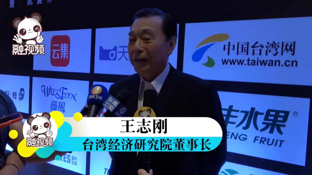 王志刚：网络科技进步促进两岸交流，期待两岸更大经贸交流图片