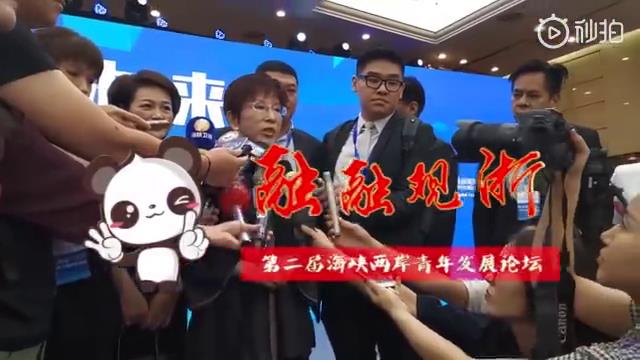 前国民党主席洪秀柱：未来属于青年，两岸青年必须来往图片