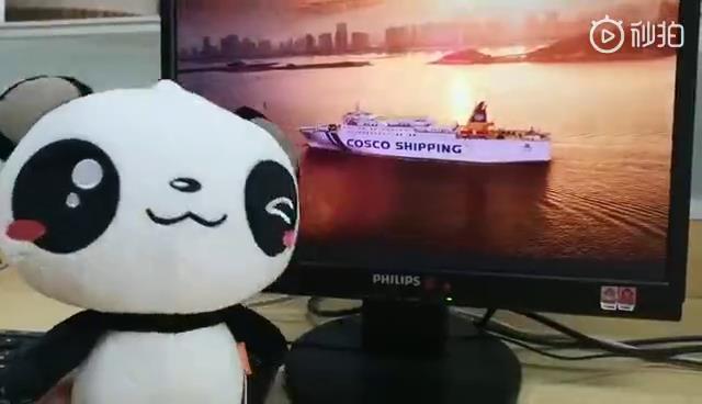 美景美食……融融来了图片