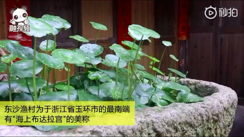 融融带你去看“海上布达拉宫”.mp4_20190525_160124.119.jpg